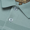 Tricou Polo pentru bărbați - ARES - BALI - Verde pal cu alb