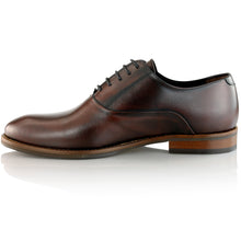 Pantofi barbatesti din piele - British Oxford - Maro Ciocolata